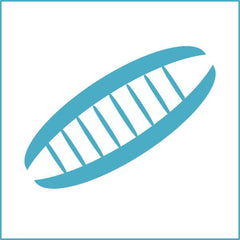 Collection image for: siRNA and microRNA