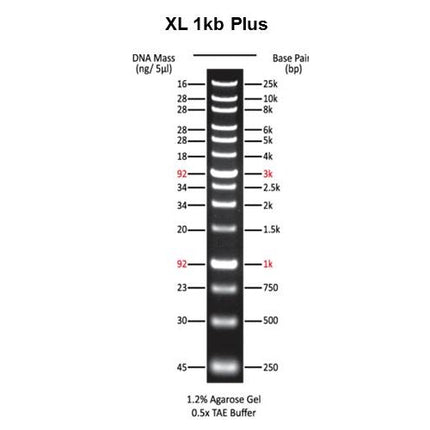 XL 1kb Plus DNA Marker (5x0.5ml)