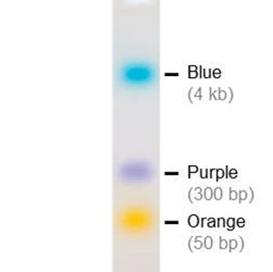 2x DNA Loading Buffer (5x1 ml)