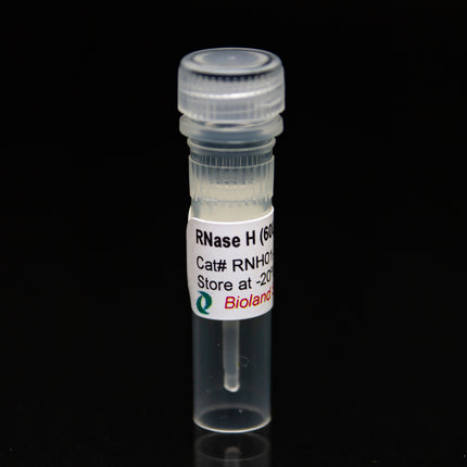 RNase H (60U/ul, 10ul)
