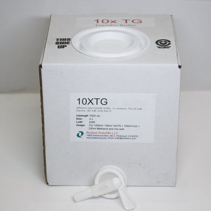 10xTris-Glycine Transfer Buffer (4 L)