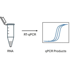 Collection image for: RT-PCR Reagents