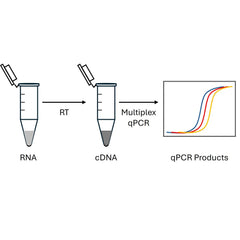 Collection image for: qPCR; RT-PCR Reagents
