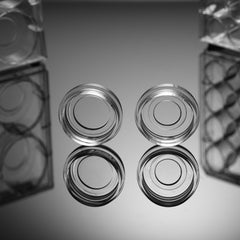 Collection image for: Glass Bottom Dishes