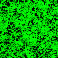 Collection image for: Transfection Reagent