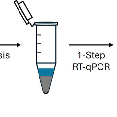 Collection image for: Cell RT-qPCR