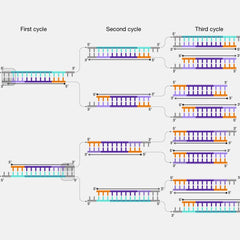 Collection image for: PCR Reagents and Supplies