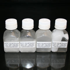 Collection image for: dNTPs