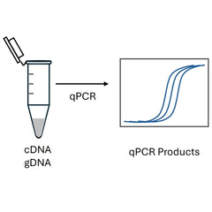Collection image for: qPCR Mastermix