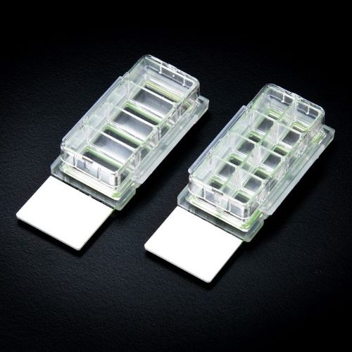 4-Well Cell Culture Chamber Slides (Individually Wrapped, 12 Count)
