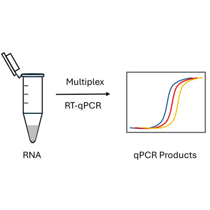 2x 1-Step Multiplex RT-qPCR Mastermix for TaqMan Probe (No ROX)
