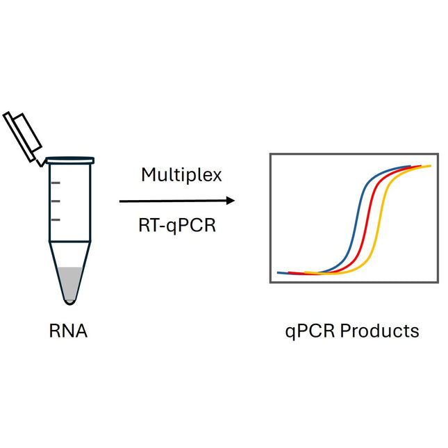 2x 1-Step Multiplex RT-qPCR Mastermix for TaqMan Probe (No ROX)