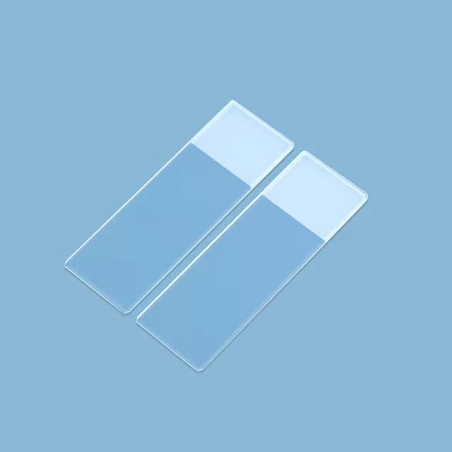 Microscope Standard Frosted Glass Slides (72 Count)