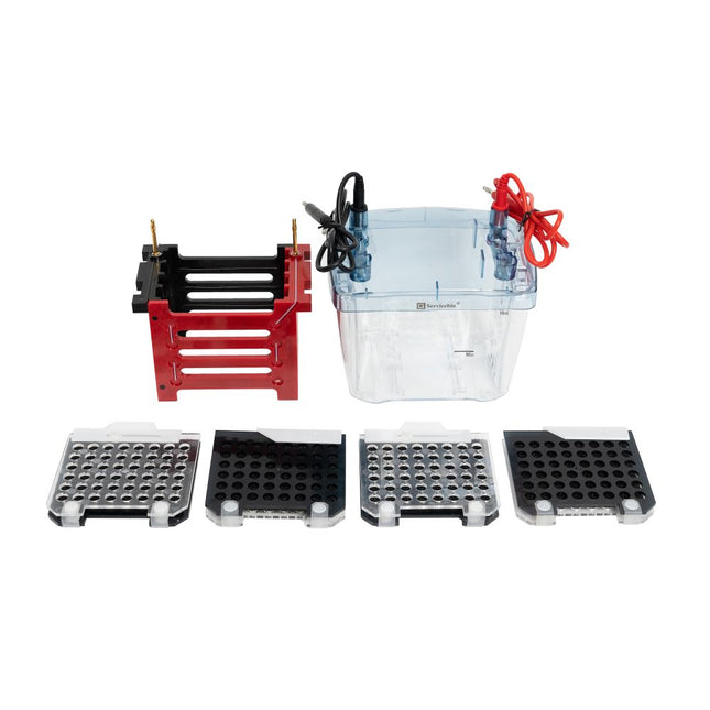 Gel Transfer Electrophoresis System (Up to 4 Gels)