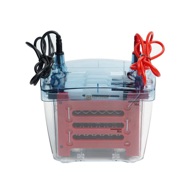 Gel Transfer Electrophoresis System (Up to 4 Gels)