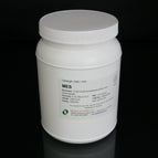 1 kg