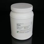 1 kg