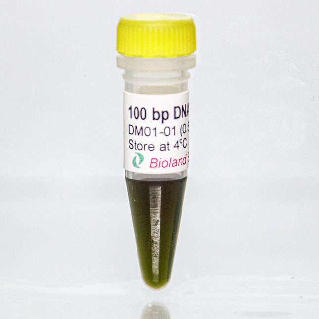 100 bp DNA Markers (0.5 ml, 100 Loadings)