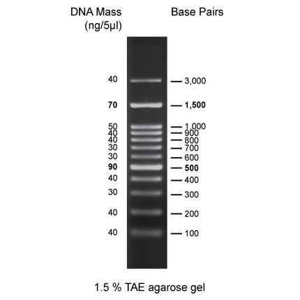 100 bp DNA Markers (5x0.5 ml, 500 Loadings)