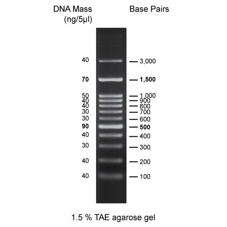 100 bp DNA Markers (0.5 ml, 100 Loadings)