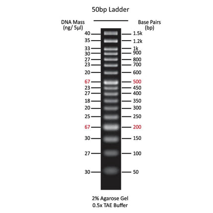 50bp DNA Markers (5x0.5 ml, 500 Loadings)
