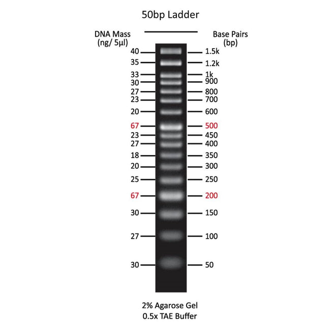 50bp DNA Markers (0.5 ml, 100 Loadings)