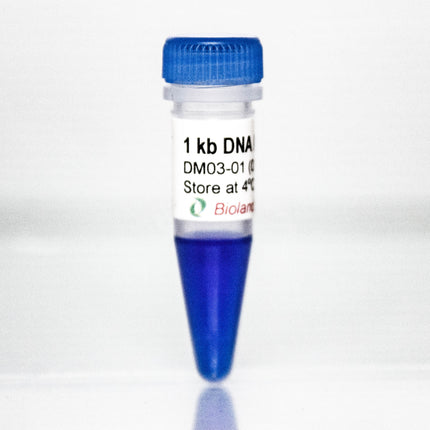 1 kb Plus DNA Ladder (0.5 ml, 100 Loadings)