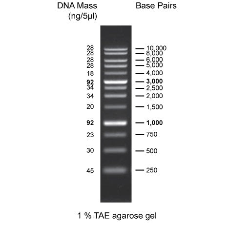 1 kb Plus DNA Ladder (0.5 ml, 100 Loadings)