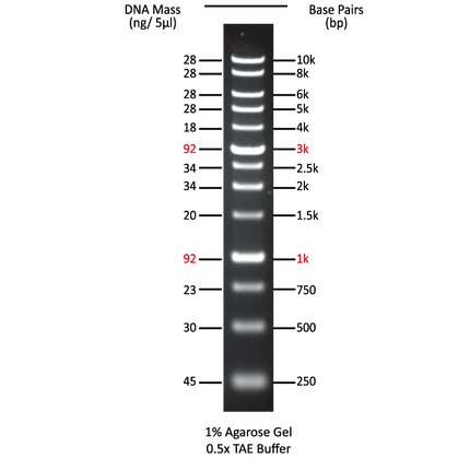 1kb Plus DNA Ladder