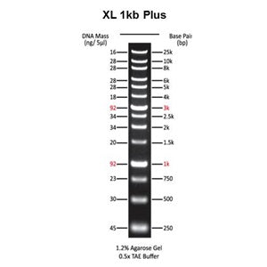 XL 1kb Plus DNA Marker (5x0.5ml)