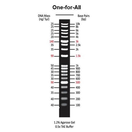 All-for-One DNA Marker (5x0.5ml)