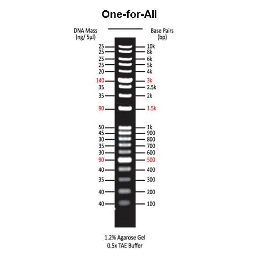All-for-One DNA Marker (0.5ml)