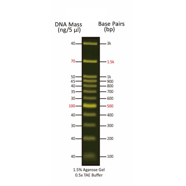 100 bp Fluorescent DNA Markers for Blue LED (5x0.5 ml, 100 Loadings)
