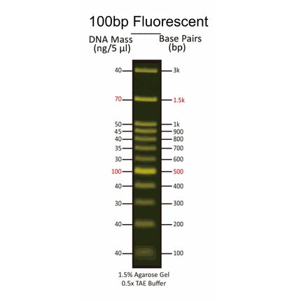 100 bp Fluorescent DNA Markers for Blue LED (0.5 ml, 100 Loadings)