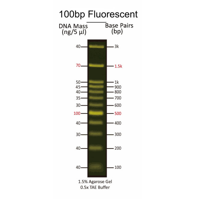 100 bp Fluorescent DNA Markers for Blue LED (0.5 ml, 100 Loadings)