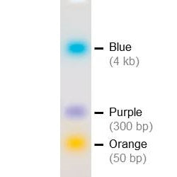 2x DNA Loading Buffer (10 ml)