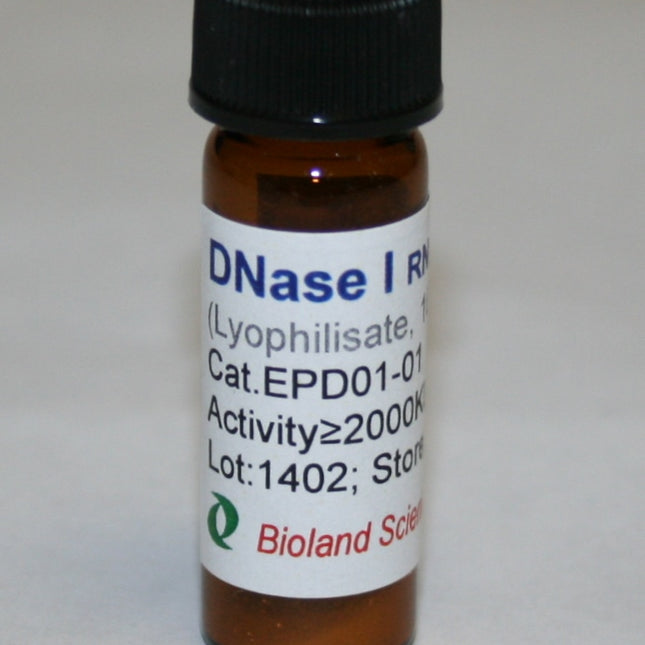 DNase I, RNase-Free (100 mg)