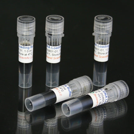 6x DNA Loading Buffer, 3 Color (5x1 ml)
