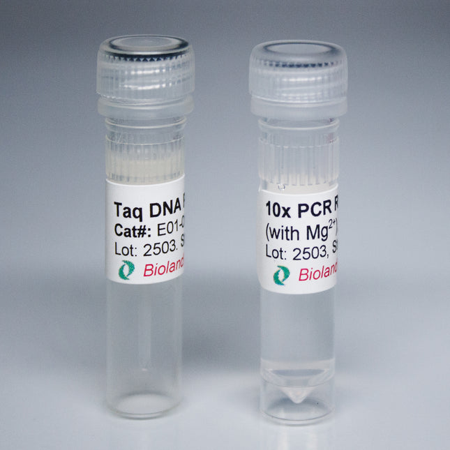 Taq DNA Polymerase (5 U/µl)