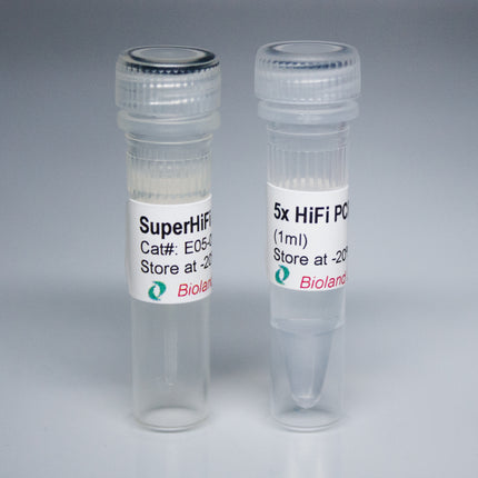 SuperHiFi DNA Polymerase (2 U/µl)