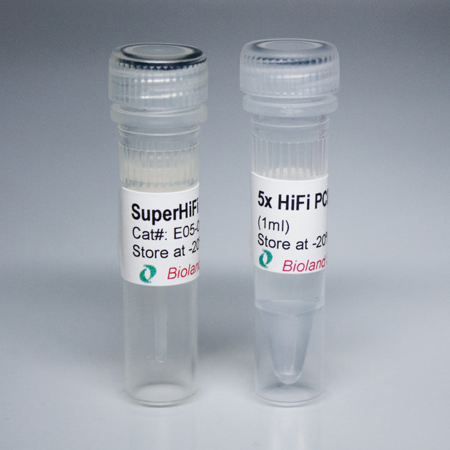 SuperHiFi DNA Polymerase (2 U/µl)