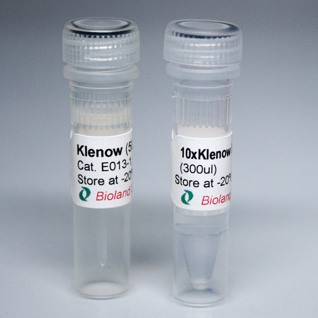 Klenow Fragment (5U/ul)