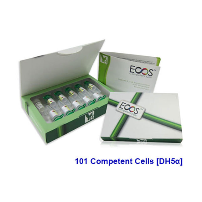 ECOS 21 1-Step Competent Cells [BL21, 10x100ul]