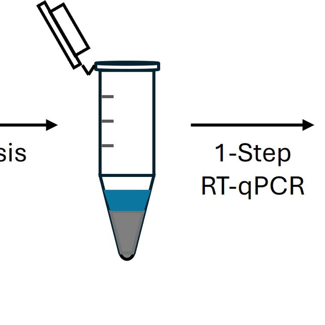 Cell Extraction-Free 1-Step RT-qPCR Kit (Low ROX)