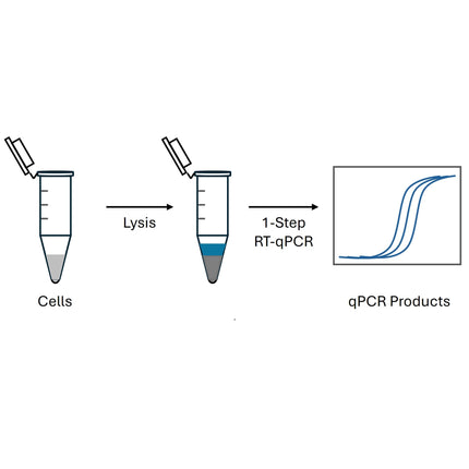 Cell Extraction-Free 1-Step RT-qPCR Kit (Low ROX)