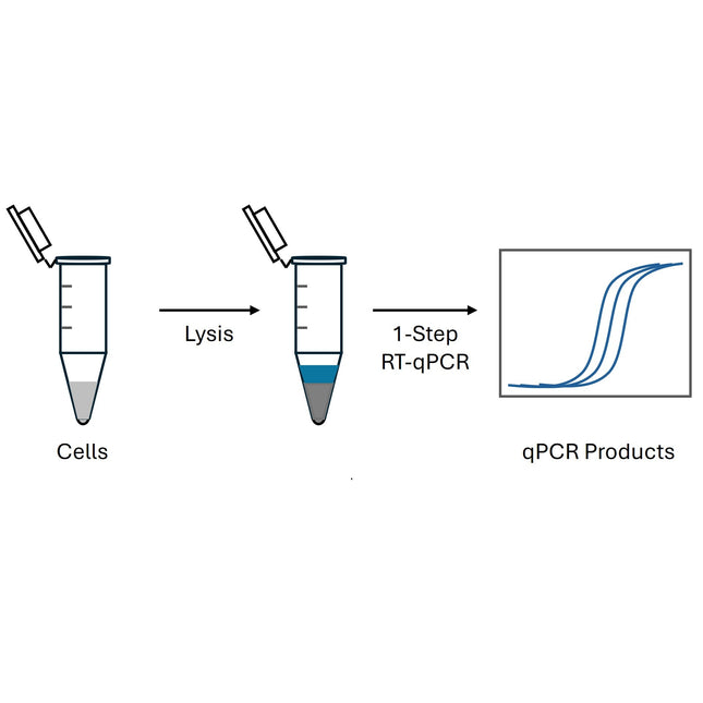 Cell Extraction-Free 1-Step RT-qPCR Kit (Low ROX)