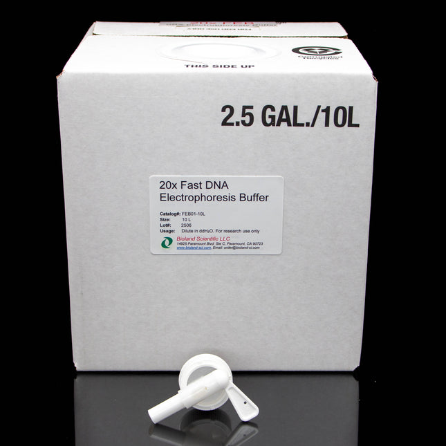 20xFast DNA Electrophoresis Buffer (10 L)