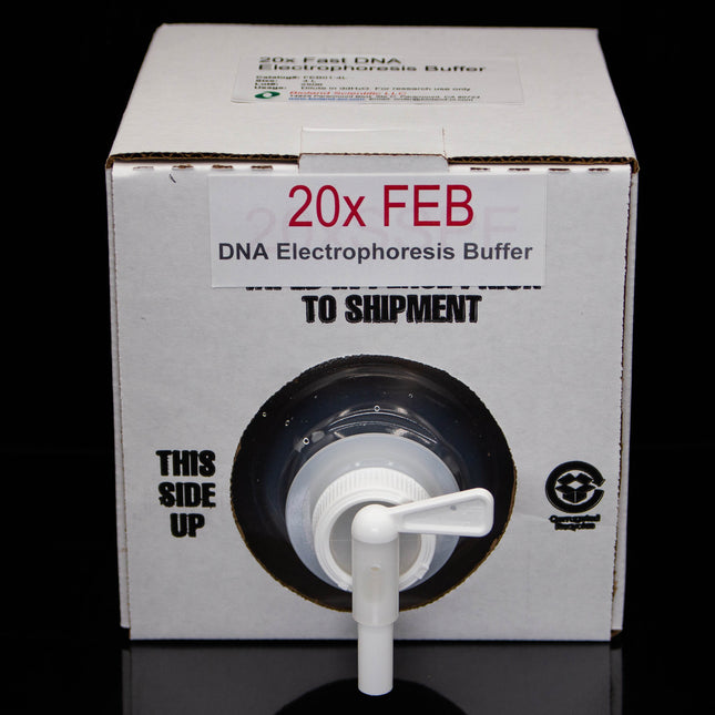 20xFast DNA Electrophoresis Buffer (4 L)