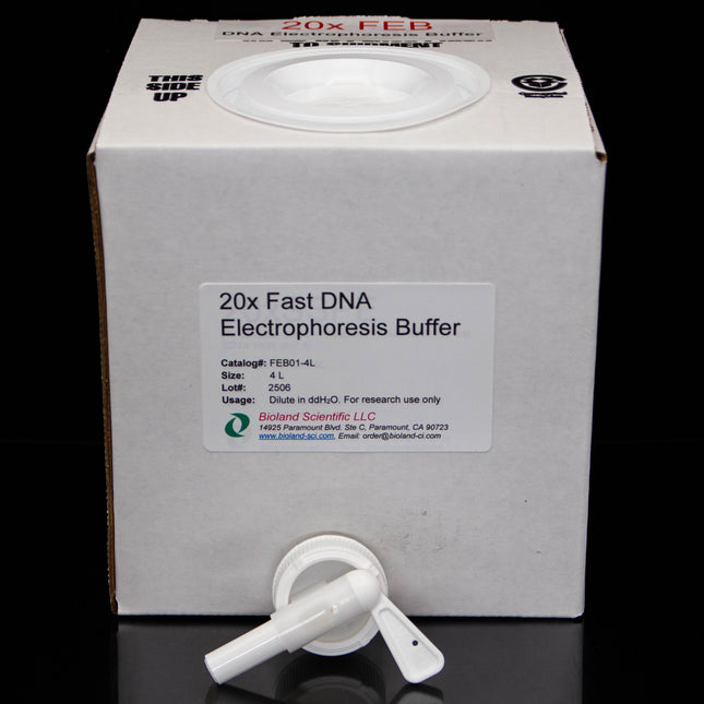 20xFast DNA Electrophoresis Buffer (4 L)