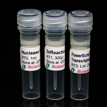 PowerScript Plus 1st Strand cDNA Synthesis Mastermix